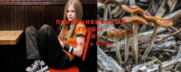 ALPHA-PVP Киреевск